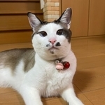 現在のじんくん。来年のじんくんはもっと黒くなってる？