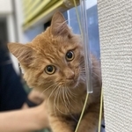 甘えん坊でやんちゃな男の子