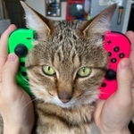 Twitter上で話題を集めたニャンテンドースイッチ（提供写真）
