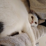 大きくなったよ～