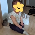 パパの部屋を目指してハイハイしていた途中、ぽかりくんの隣に座り込んだという（提供写真）