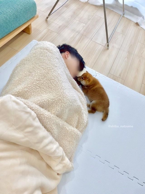 最初からべったりだったな」お昼寝中の飼い主さんに寄り添う子犬に