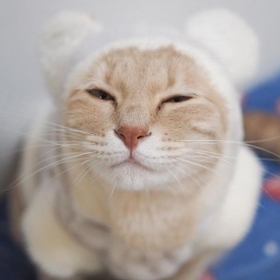 雪だるまみたいになっちゃった