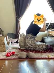 ママさんの背中にくっついて必死に引き止めようとしている子猫の写真がTwitter上で話題を呼んだ（提供写真）