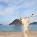 万歳する「立ち猫」（山本正義さん提供）