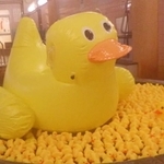 「いっしょにあそんでよ～」※イベント中、巨大アヒルは玄関にいます