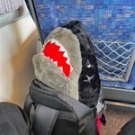 「『万が一』があるので、旅先でクレーンゲームをしてはいけない」（Atuso Lidaさん提供）