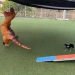 恐竜が！犬に！追いかけられています！！（画像提供／暴君ぺこさん）
