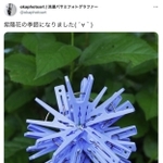 「洗濯バサミフォトグラファー」岡本なうさんの実際の投稿
