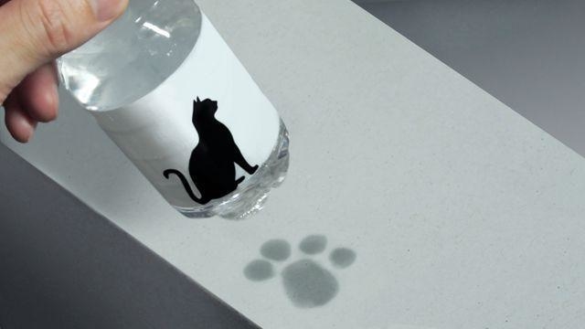 ペットボトルの水滴が猫の足跡に！（提供:ミチルさん）