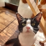 あたし、頑張ったよ