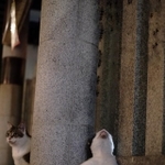 柱に寄りかかりお股をおっぴろげながら上を向いて座り込むハチワレ猫ちゃんがTwitter上で話題になった（H. Leeさん提供）