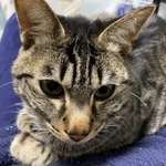 内弁慶な甘えん坊さん