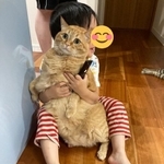 男の子にギュッと抱きしめられる茶トラ猫ちゃんがTwitter上で話題を集めた（「かぎしっぽすず&つむぎ」さん提供）