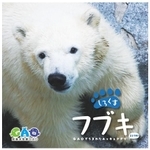 一般募集の画像もたっぷり使われたフブキ写真集。オンラインショップでも購入できます（画像は男鹿水族館GAO公式サイトから）