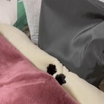 真冬の時期に毎日していた「ふみふみ」…今は！？（うおおおさん提供）