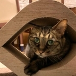 お気に入りの場所なの