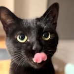 おやつにぺろりんちょ。ちゃんとお座りして食べる