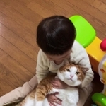 4歳の女の子に抱っこされる猫が「ぬいぐるみ」みたいだとTwitter上で話題を集めた（yopichさん提供）