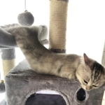 すっかり溶けて人魚のよう＝ひめろぐさん（@himelog21）提供