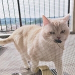 恐怖の瞬間…（写真提供：ミギーさん）