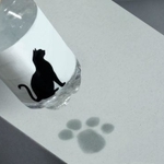 ペットボトルの水滴が猫の足跡に！（提供:ミチルさん）