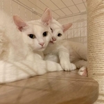 迎えて5日目。奥がうるちくん、手前がもちくん