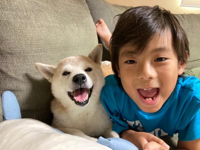 小2息子 仲良しの柴犬を自由研究に どうしてそんなにかわいいのか 愛情いっぱいの内容に 読んでるだけで泣けてきました 神戸新聞next 連載 特集 話題