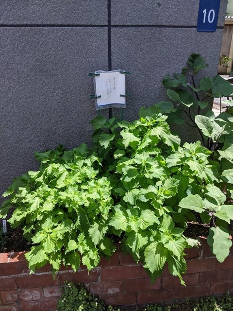 何やら張り紙が…（yucchosanさん提供）