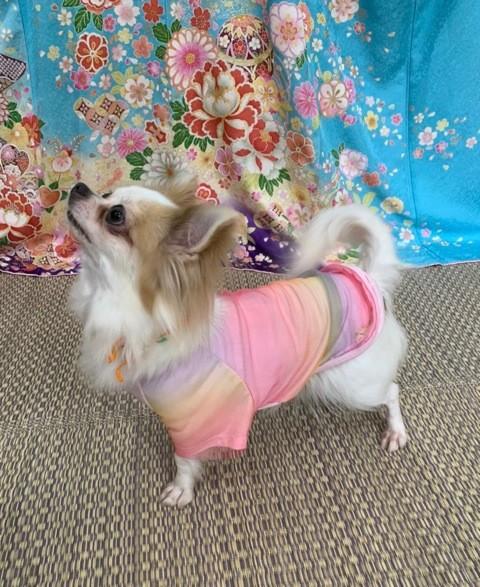 おしゃれアップしたメアリー