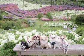 きれいに並んだ集合写真