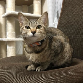 つぶらな目が可愛い