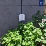 何やら張り紙が…（yucchosanさん提供）