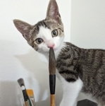 筆を鼻に突っ込む子猫がTwitter上で話題になった（輝竜司さん提供）