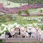 きれいに並んだ集合写真