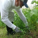 腰、膝のきしみ、滝の汗