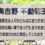 これは有難すぎ！（カステラさん提供）