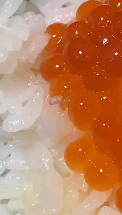 わーい イクラご飯だ あれっ 醤油漬けの粒の間に動く糸くず 衝撃動画600万超再生 神戸新聞next 連載 特集 話題