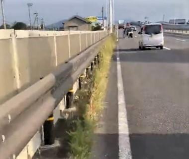現場は車通りの多い国道（hinataboccoさん提供、Twitterよりキャプチャ撮影）