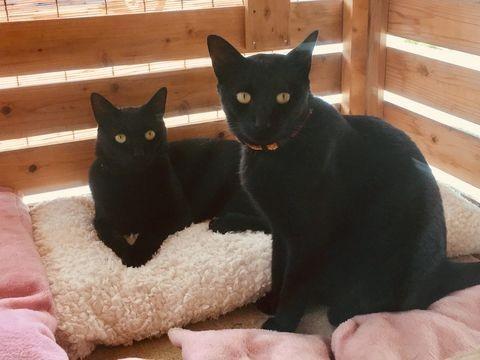 のんびり日向ぼっこを楽しむ