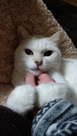 今年で10歳になる、もんたろすくん