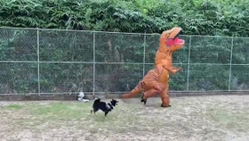 黒柴さんのお気に入りの子恐竜のぬいぐるみを抱え逃げるパパさん恐竜（画像提供：暴君ぺこさん）