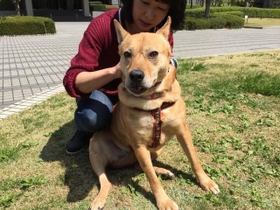 初めて会ったときは緊張していた心深ちゃん