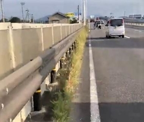 現場は車通りの多い国道（hinataboccoさん提供、Twitterよりキャプチャ撮影）