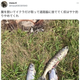 masa.Kさん（@masaK90381940）のツイッター投稿（一部、スクリーンショット）