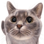 リアルに描ける『音海はるの「ねこぬりえ」BOOK』のお手本のマンチカン