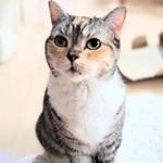 この目で見つめられると、つい甘やかしてしまう