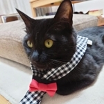 毛糸アレルギーがあるので、毛糸以外の素材でスタイなどを作る