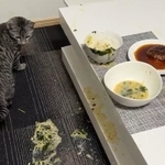 床にぶちまけられたスープ･･･夜ご飯中に猫が上から落ちてきて“大惨事”に（「ととまるとはんみ」さん提供、Twitterよりキャプチャ撮影）