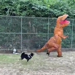 黒柴さんのお気に入りの子恐竜のぬいぐるみを抱え逃げるパパさん恐竜（画像提供：暴君ぺこさん）